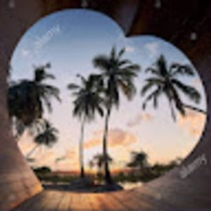 Meet your Posher, Gracie